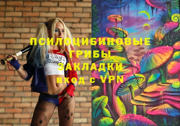 соль ск Арсеньев