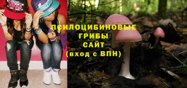 соль ск Арсеньев