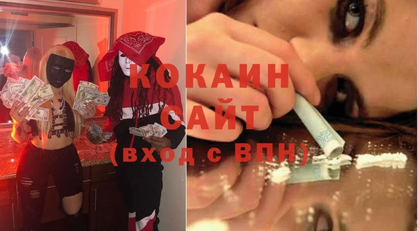соль ск Арсеньев